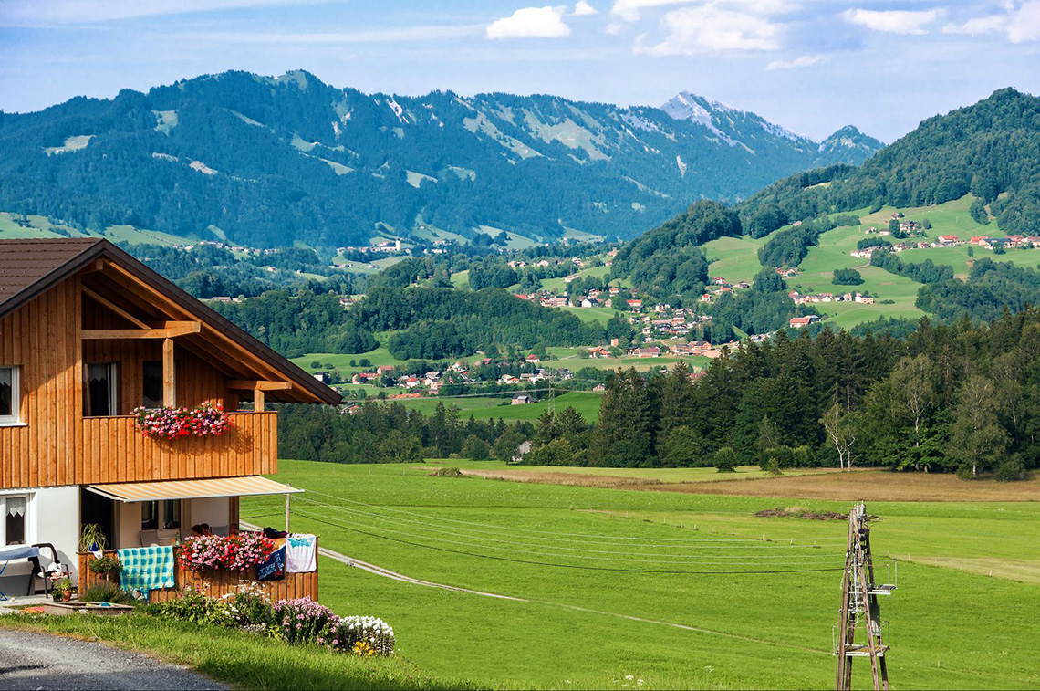 奥地利谈球吧体育官网入口地板