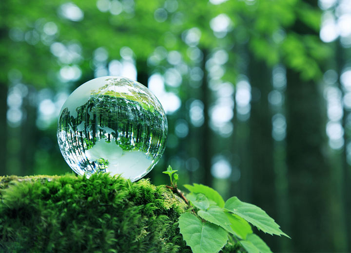 爱家更爱它，谈球吧体育官网入口地板做真正的地球绿色卫士